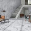 CARBIS WHITE