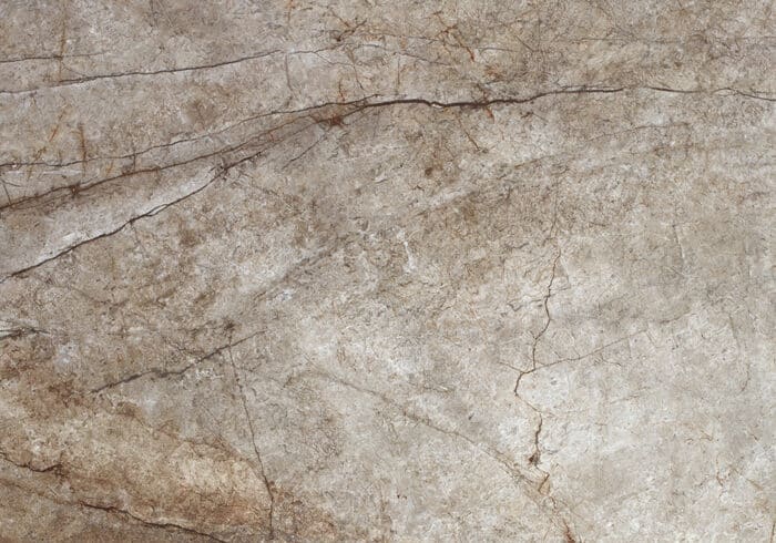 RAIN FOREST - Image 2