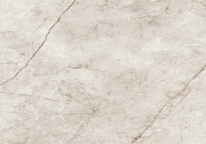 RAIN FOREST - Image 2